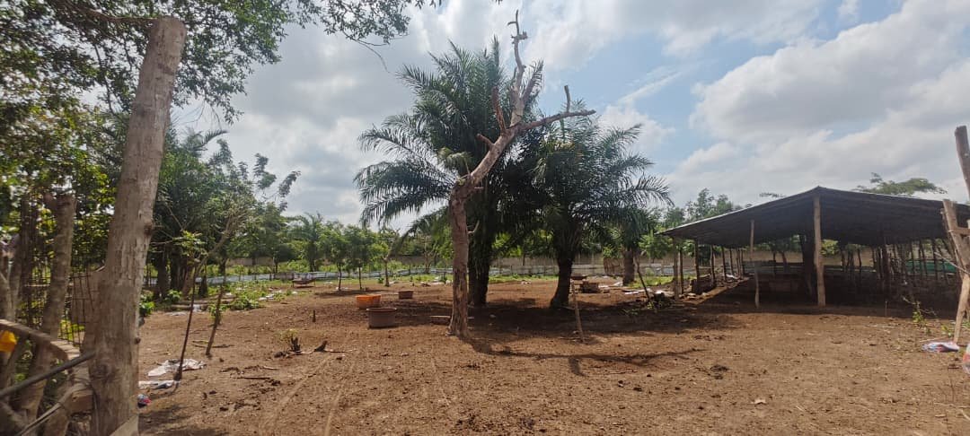 Ferme pilote LELAL AGROPASTORAL