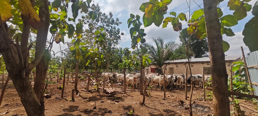 Infrastructures de la ferme LELAL AGROPASTORAL