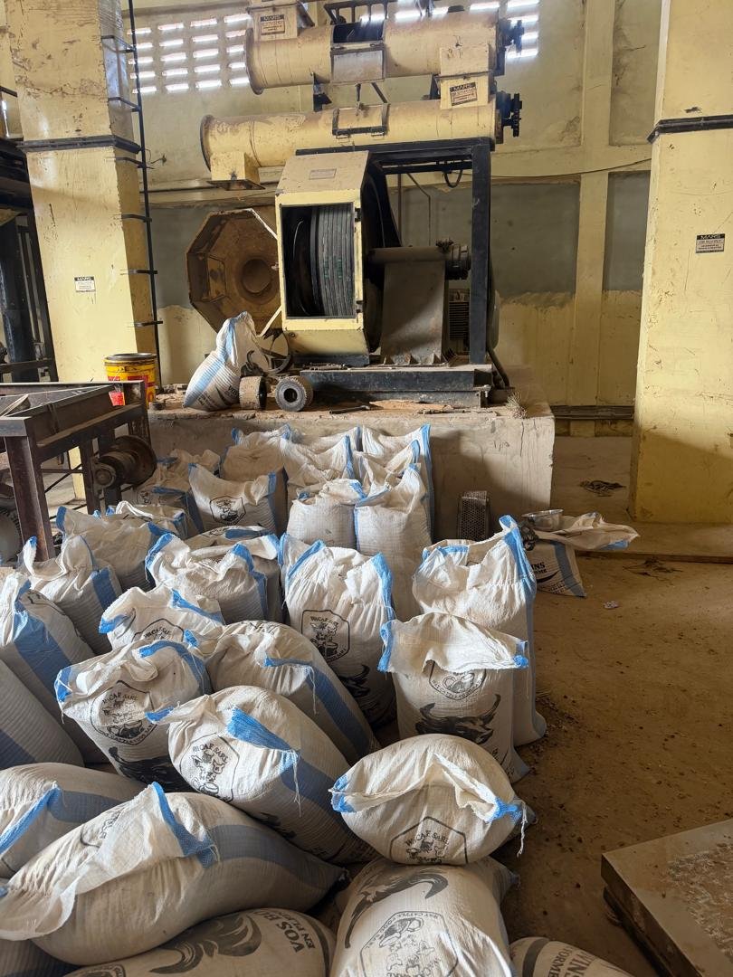 Production provende ovins caprins